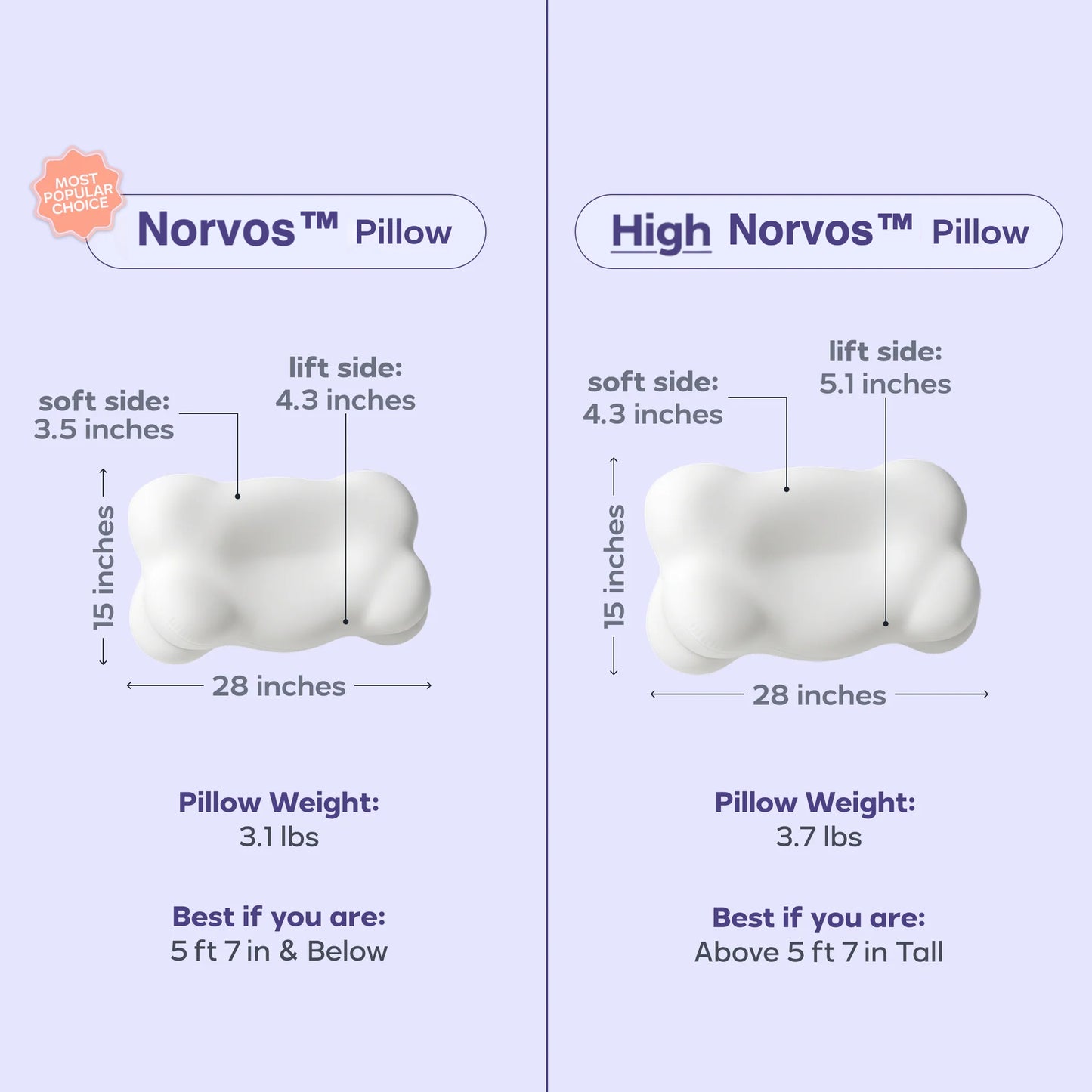 Norvos Comfort Align Pillow