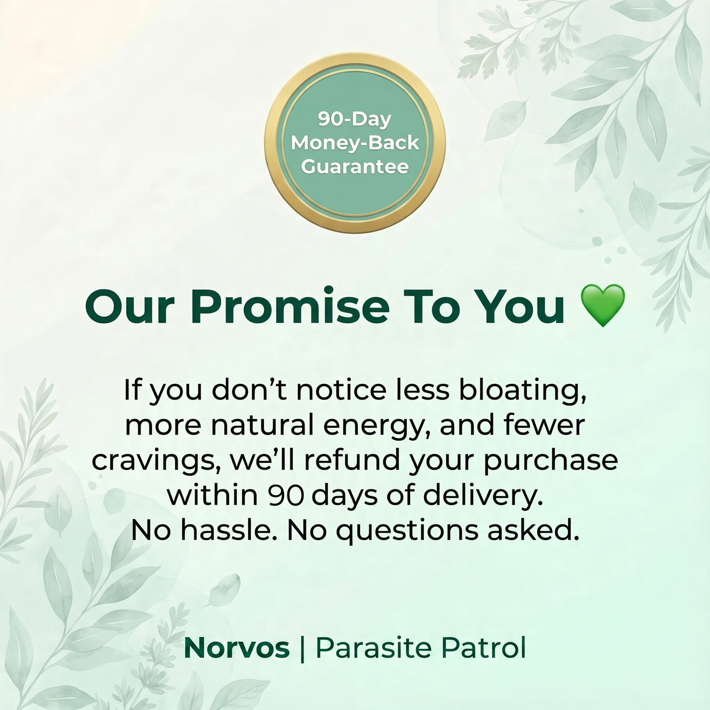 Black Walnut Wormwood Clove 2-Step Parasite Cleanse