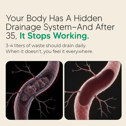 Lymphatic Drainage Capsules by Norvos™